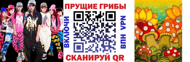 Галлюциногенные грибы прущие грибы  Иваново 